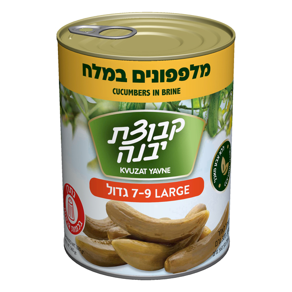 מלפפון חמוץ במלח קבוצת יבנה 560 גרם