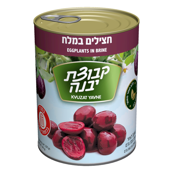 Purple Eggplant in Salt Kvutzat Yavne 540 gr