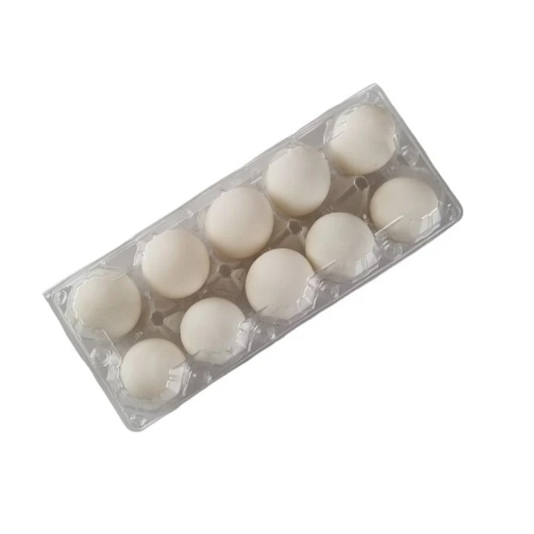 Fresh Egg 10 Units