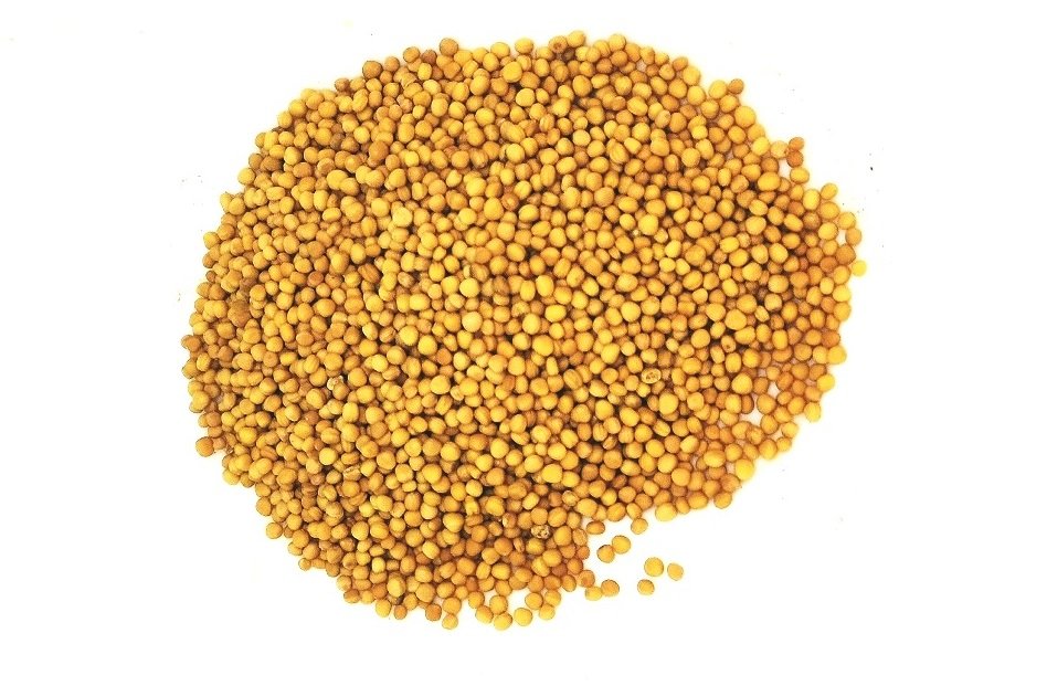Mustard Seeds Taam & Reach 1 kg