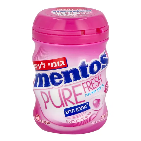 Mentos Bubblegum Mint Fruits Flavor Mentos 60 gr