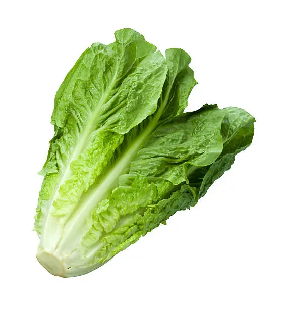 Romaine lettuce Lettuce 0.5 kg