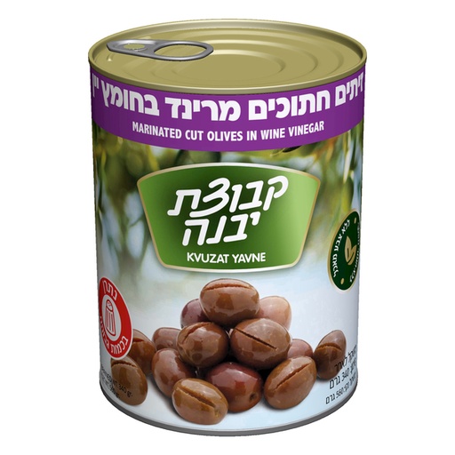 [DRY-0088] Marinated Olives Kvutzat Yavne 540 gr