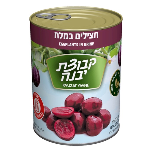 [DRY-0098] חצילים סגולים קטנים קבוצת יבנה 540 גרם