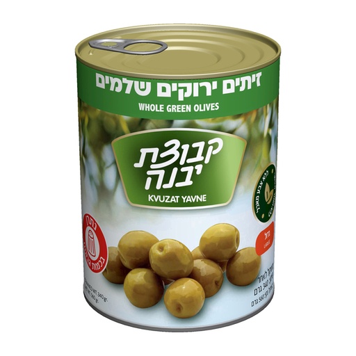 [DRY-0117] זית טבעי גדול קבוצת יבנה 560 גרם