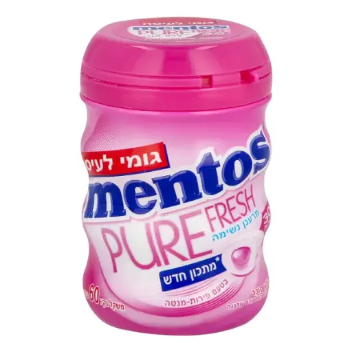[DRY-2049] Mentos Bubblegum Mint Fruits Flavor Mentos 60 gr